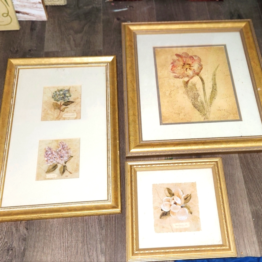 Three rose pictures